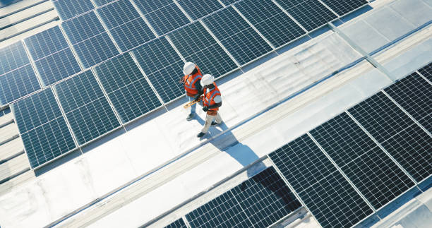 Best Roof Maintenance and Cleaning  in Westwood, CA